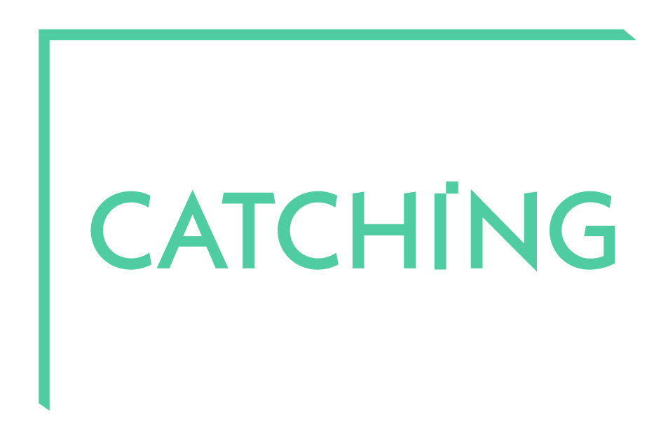 lichtcatchingtoby